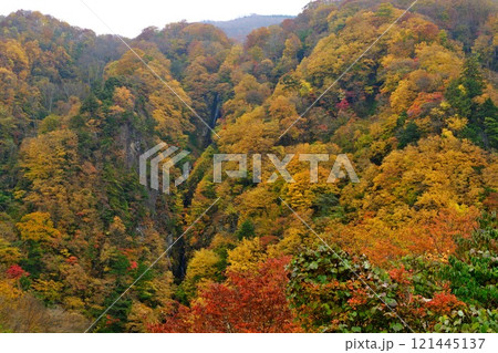 信州高山村 秋の松川渓谷 圧巻の黄葉が八滝を彩る 121445137