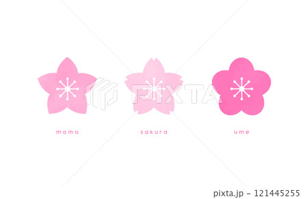 かわいい春のお花。桜と桃と梅のベクターイラストアイコンセット。 121445255