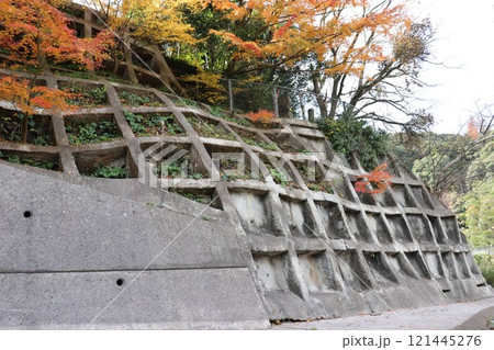 紅葉と急傾に施された法枠 121445276