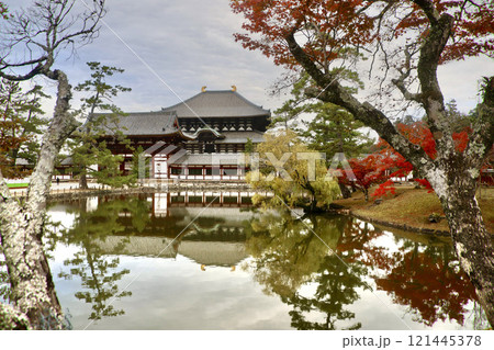 鏡池・東大寺（奈良県・奈良市） 121445378