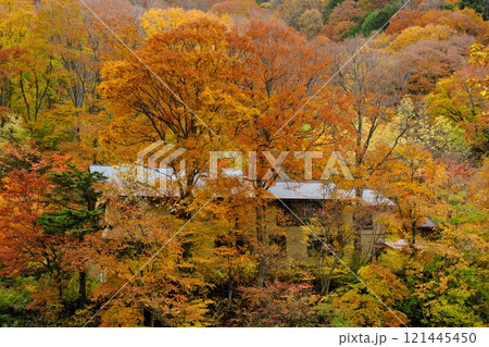 信州高山村 秋の松川渓谷 七味温泉の見事な紅葉に包まれた温泉宿 121445450