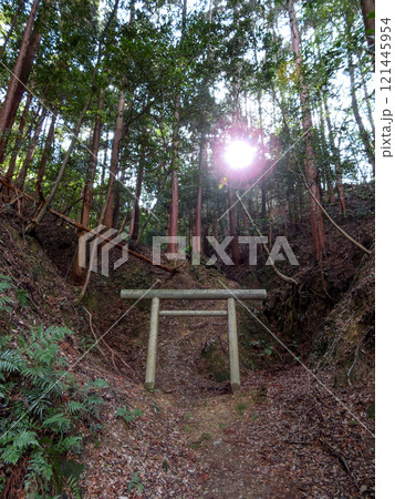 日向大神宮 神体山を拝むための鳥居 日向大神宮 神体山を拝むための鳥居 121445954