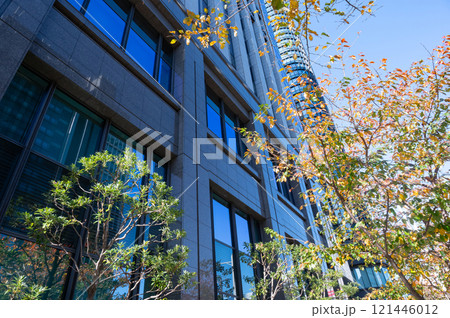 高層ビルと紅葉した街路樹の風景 121446012
