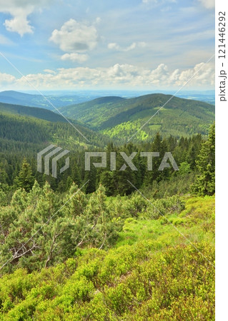 Landscape of the Krkonose Mountains in the Czech Republic Landscape of the Krkonose Mountains in the Czech Republic 121446292