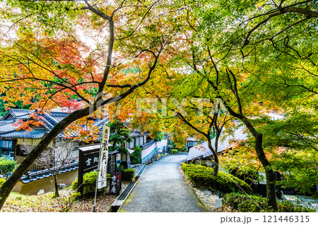 秋月城跡の紅葉【福岡県朝倉市】 秋月城跡の紅葉【福岡県朝倉市】 121446315