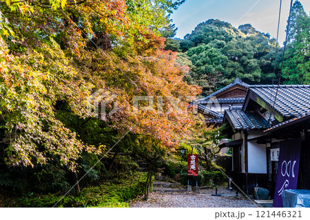 秋月城跡の紅葉【福岡県朝倉市】 121446321