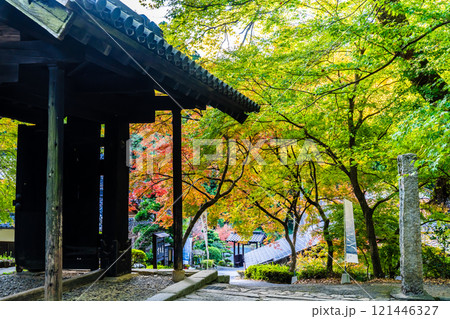 秋月城跡の紅葉【福岡県朝倉市】 121446327