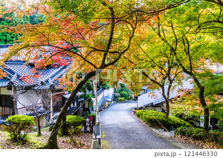 秋月城跡の紅葉【福岡県朝倉市】 121446330