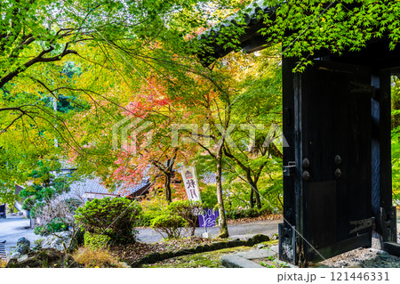 秋月城跡の紅葉【福岡県朝倉市】 121446331