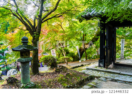 秋月城跡の紅葉【福岡県朝倉市】 121446332
