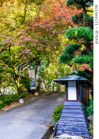 秋月城跡の紅葉【福岡県朝倉市】 121446336