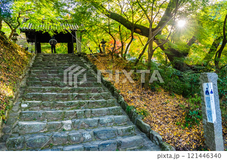 秋月城跡の紅葉【福岡県朝倉市】 秋月城跡の紅葉【福岡県朝倉市】 121446340