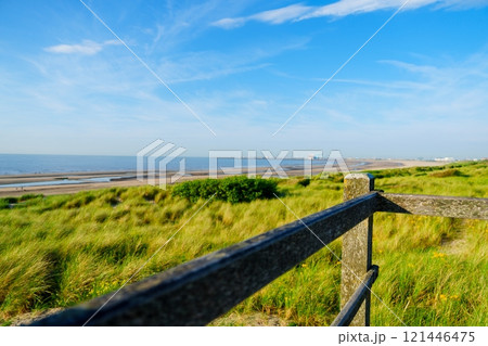 Beautiful Dutch coastal landscape with beach and dunes in Netherlands 121446475