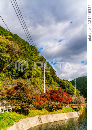 河内貯水池の紅葉【福岡県北九州市】 121446524