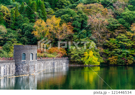 河内貯水池の紅葉【福岡県北九州市】 121446534