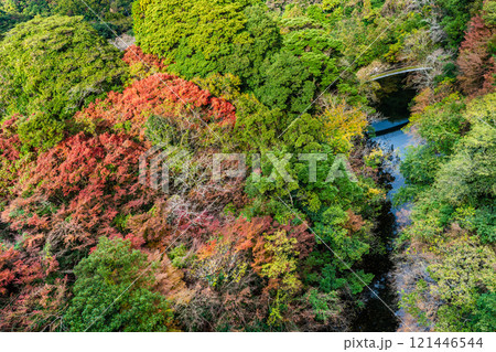 河内貯水池の紅葉【福岡県北九州市】 河内貯水池の紅葉【福岡県北九州市】 121446544