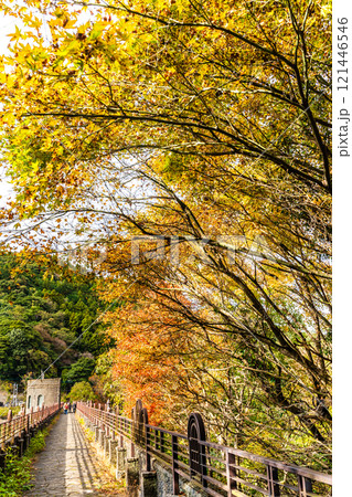 河内貯水池の紅葉【福岡県北九州市】 河内貯水池の紅葉【福岡県北九州市】 121446546