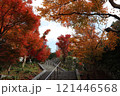 紅葉が綺麗な山口県長門湯本の紅葉階段 121446568