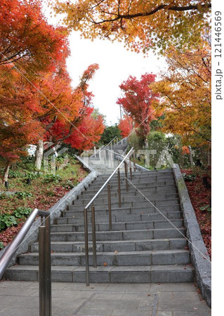 紅葉が綺麗な山口県長門湯本の紅葉階段 紅葉が綺麗な山口県長門湯本の紅葉階段 121446569
