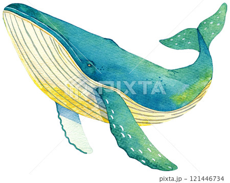 クジラの水彩イラスト クジラの水彩イラスト 121446734