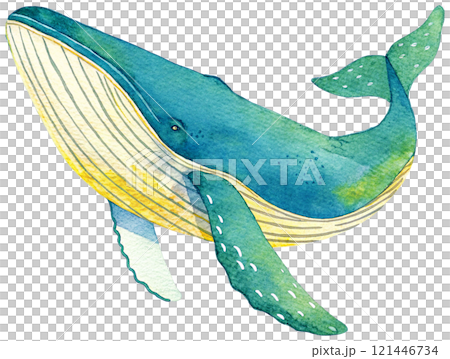 クジラの水彩イラスト クジラの水彩イラスト 121446734