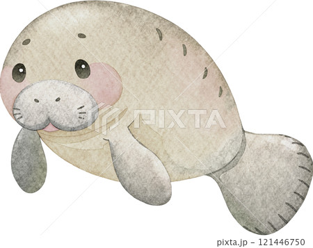 マナティーの水彩イラスト 121446750