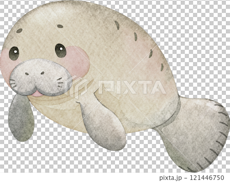 マナティーの水彩イラスト 121446750