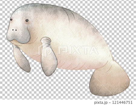 海牛水彩插圖 121446751