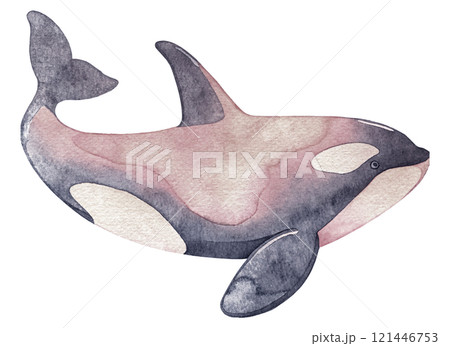 シャチの水彩イラスト 121446753