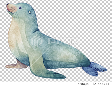 海獅水彩插圖 121446754