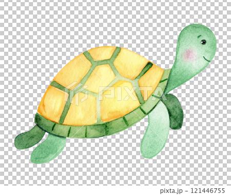 Sea turtle watercolor illustration 121446755