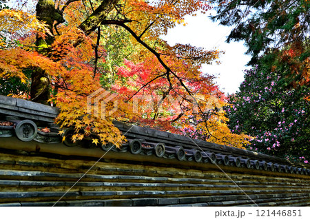 永保寺 境内 永保寺 境内 121446851