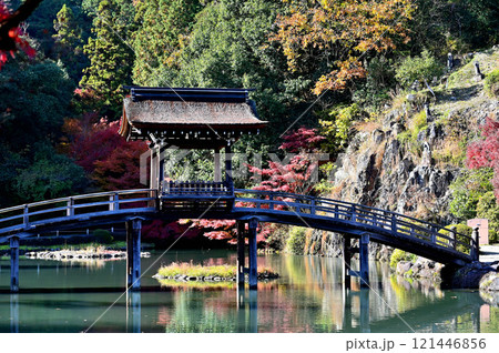 永保寺 無際橋 永保寺 無際橋 121446856