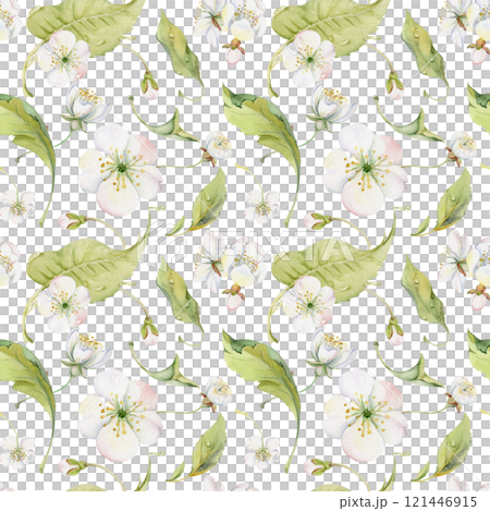 Cherry sakura apple white flower and bud with green leaves on branches, hand drawn in watercolor, wildflower botanical illustration. Seamless isolated pattern for wedding, florist shop, scrapbooking 121446915