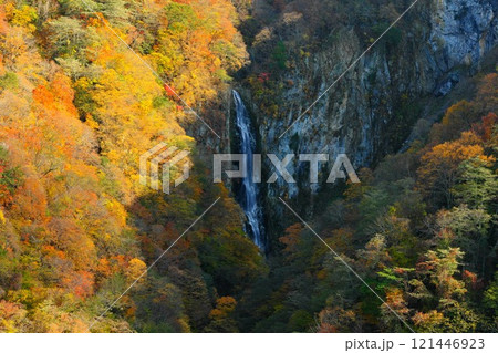 信州秋の志賀高原 潤満滝の紅葉に陽が差し込み輝く 信州秋の志賀高原 潤満滝の紅葉に陽が差し込み輝く 121446923