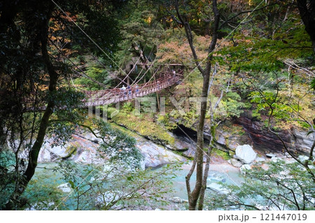 祖谷のかずら橋 ／ 日本三奇橋【徳島県三好市西祖谷山村善徳】 121447019