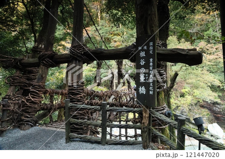 祖谷のかずら橋 / 日本三奇橋【徳島県三好市西祖谷山村善徳】 祖谷のかずら橋 / 日本三奇橋【徳島県三好市西祖谷山村善徳】 121447020
