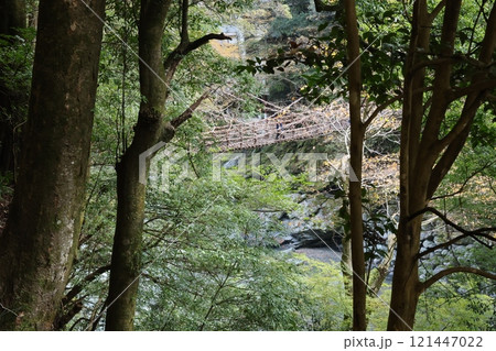 祖谷のかずら橋 / 日本三奇橋【徳島県三好市西祖谷山村善徳】 祖谷のかずら橋 / 日本三奇橋【徳島県三好市西祖谷山村善徳】 121447022
