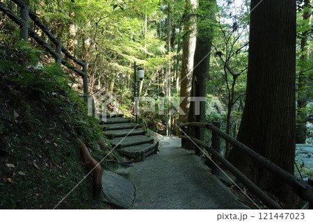 祖谷のかずら橋 ／ 日本三奇橋【徳島県三好市西祖谷山村善徳】 121447023