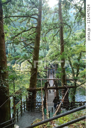 祖谷のかずら橋 / 日本三奇橋【徳島県三好市西祖谷山村善徳】 祖谷のかずら橋 / 日本三奇橋【徳島県三好市西祖谷山村善徳】 121447024