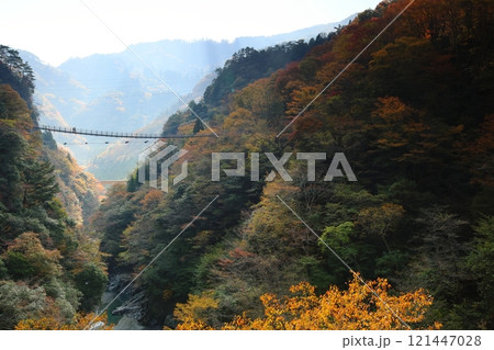 祖谷のかずら橋 / 日本三奇橋【徳島県三好市西祖谷山村善徳】 祖谷のかずら橋 / 日本三奇橋【徳島県三好市西祖谷山村善徳】 121447028