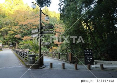 祖谷のかずら橋 ／ 日本三奇橋【徳島県三好市西祖谷山村善徳】 121447438