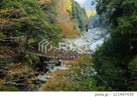 祖谷のかずら橋 ／ 日本三奇橋【徳島県三好市西祖谷山村善徳】 121447439