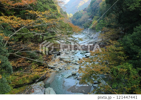 祖谷のかずら橋 ／ 日本三奇橋【徳島県三好市西祖谷山村善徳】 121447441