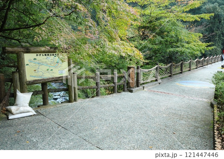 祖谷のかずら橋 / 日本三奇橋【徳島県三好市西祖谷山村善徳】 祖谷のかずら橋 / 日本三奇橋【徳島県三好市西祖谷山村善徳】 121447446