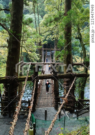 祖谷のかずら橋 ／ 日本三奇橋【徳島県三好市西祖谷山村善徳】 121447449