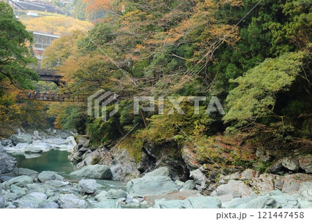 祖谷のかずら橋 ／ 日本三奇橋【徳島県三好市西祖谷山村善徳】 121447458