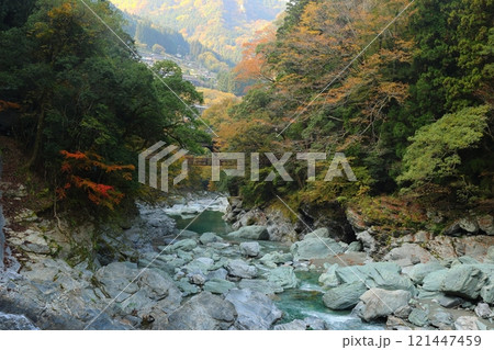 祖谷のかずら橋 ／ 日本三奇橋【徳島県三好市西祖谷山村善徳】 121447459