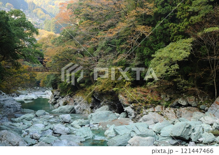 祖谷のかずら橋 ／ 日本三奇橋【徳島県三好市西祖谷山村善徳】 121447466