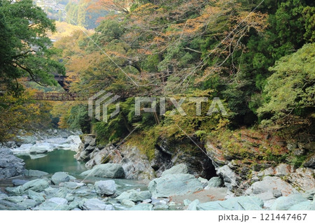 祖谷のかずら橋 ／ 日本三奇橋【徳島県三好市西祖谷山村善徳】 121447467